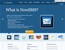 Tablet Screenshot of nowsms.com